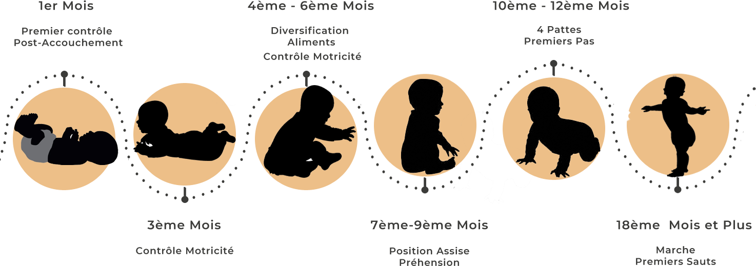 Frise du développement du bébé avec les étapes clés et les moments recommandés pour consulter un ostéopathe.